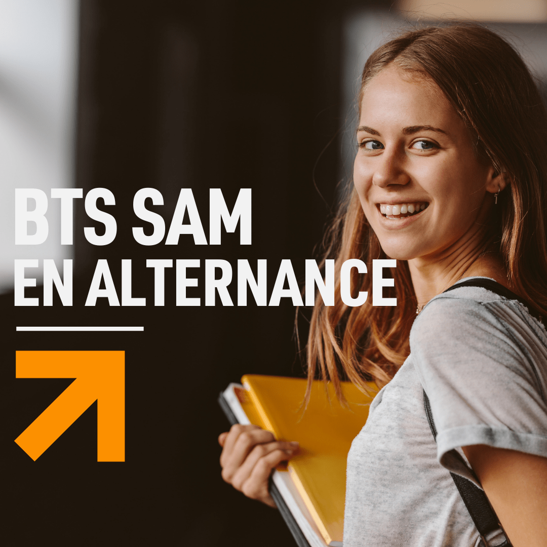 BTS SAM EN ALTERNANCE